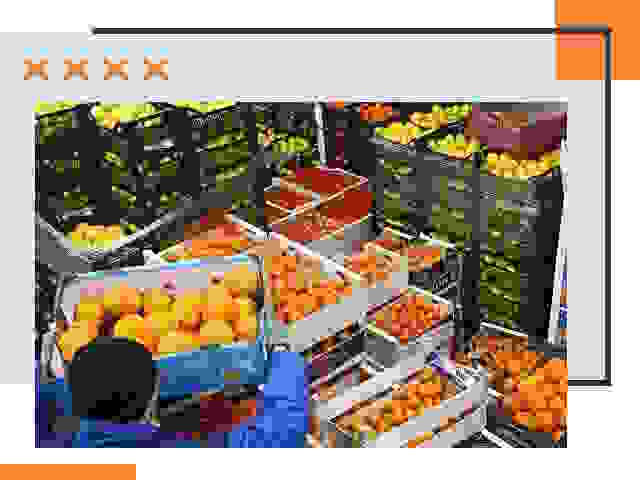 Перевозка скоропортящихся продуктов в Североморске